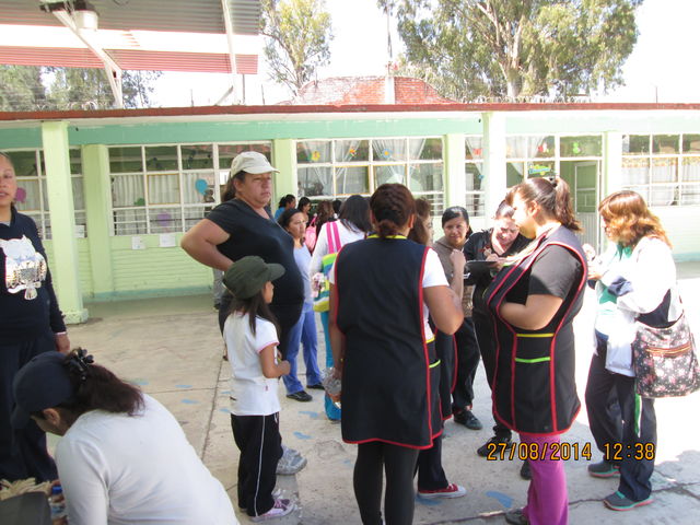 Asesoría Activación física 14-15